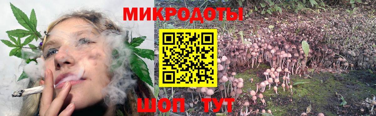Псилоцибиновые грибы MAGIC MUSHROOMS  Вход с VPN  Псилоцибиновые грибы Psilocybine cubensis  Звенигород 